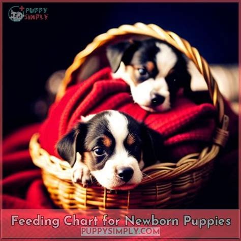 Newborn Puppy Feeding Chart: Guide to Feeding and Weaning