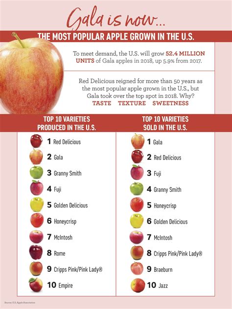 What Is America's Favorite Apple Variety? (Infographic) | Apple varieties, Apple, Gala apples