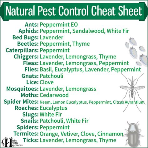 Natural Pest Control Cheat Sheet - Herbs Health & Happiness