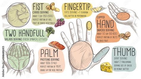 Food Portion Size measured by hand Stock Illustration | Adobe Stock