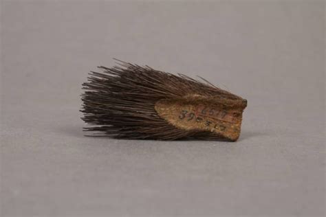 Collection Highlight E395317: Porcupine-tail Comb Cleaner - Magnetic North