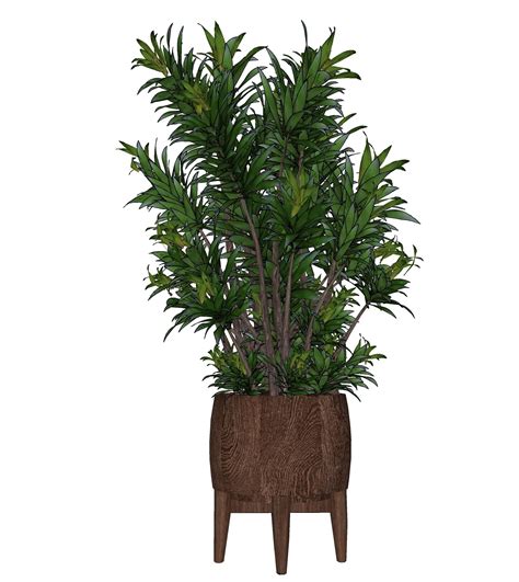 54. Plants Free Sketchup Model