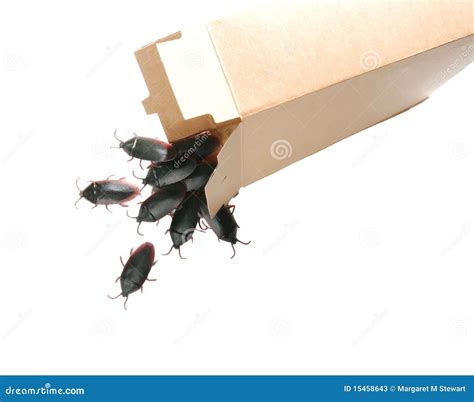 Roach infestation stock image. Image of pouring, roaches - 15458643