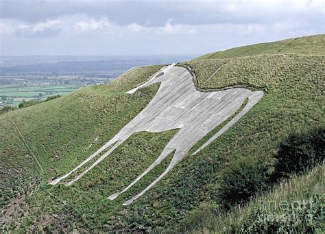 Horse Landscape England White Horse Hill Photograph by Paul Fearn