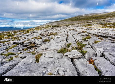 Bay burren limestone pavement hi-res stock photography and images - Alamy