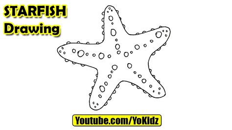 How to draw a Starfish for Kids - YouTube