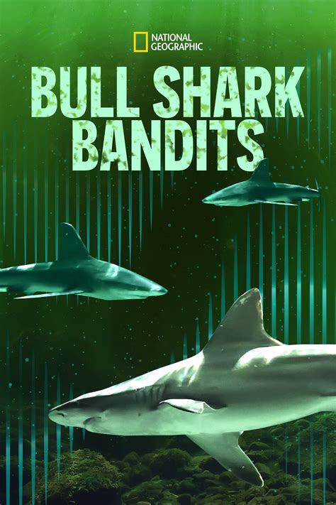 Bull Shark Bandits (2023) | The Poster Database (TPDb)