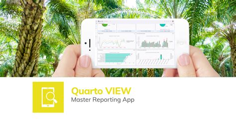 Quarto View: Plantation performance metrics on the go - LintraMax | Quarto