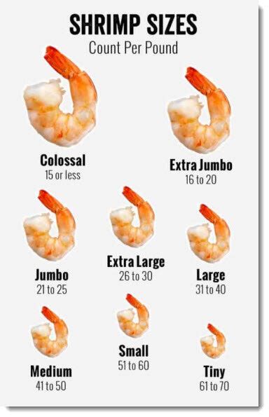 Shrimp Size Chart — Philly Seafood