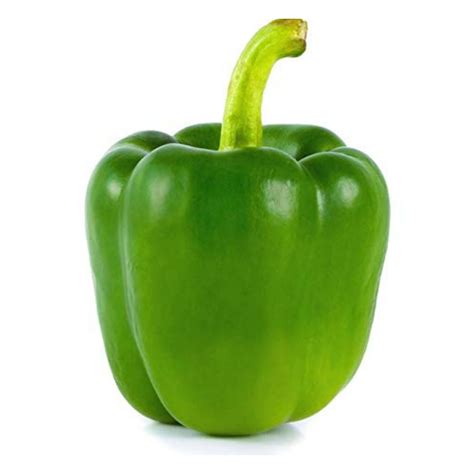 Organic Green Capsicum Seeds - Open Pollinated