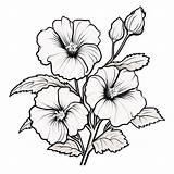 Premium AI Image  Classic Black And White Hollyhock Drawing For Kids sketch template