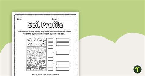 Label a Soil Profile – Worksheet | Teach Starter