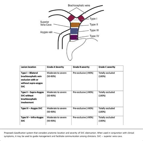 Proposed Classification of SVC Obstruction Based on Location and Severity | Download Scientific ...