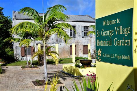 St. George Village Botanical Gardens in Frederiksted, Saint Croix - Encircle Photos