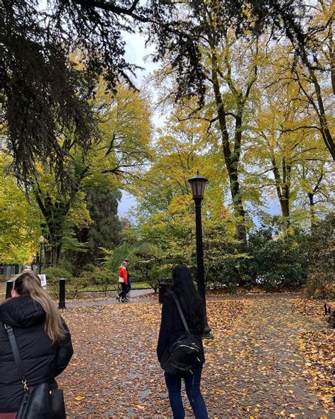 two people standing in the middle of a park with leaves on the ground ...