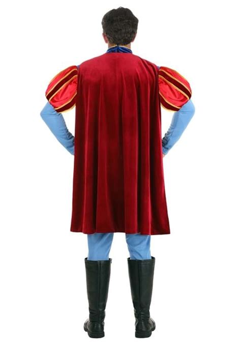 Disney Sleeping Beauty Prince Phillip Men's Costume