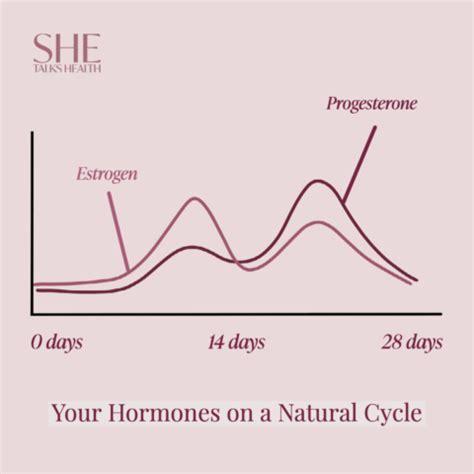 Estrogen & Progesterone - SHE Talks Health