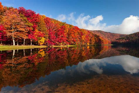 Here's When You Can Expect the Fall Foliage to Peak in NoVA