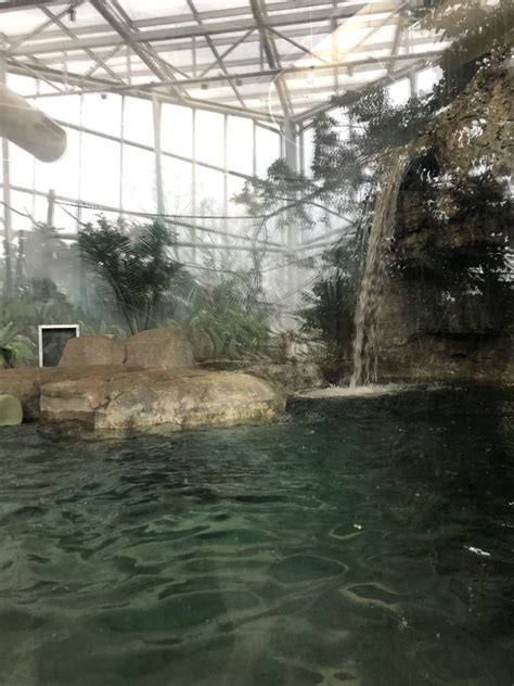 Giant Otter Habitat (Right Side) - Feb, 2020 - ZooChat