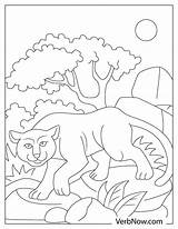 22 Free Panther Coloring Pages For Download Printable PDF sketch template
