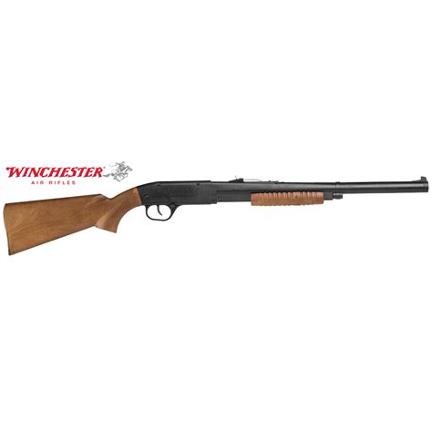 Winchester Model 12 Youth Pump Action BB Gun - Daisy