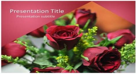 Rose Free PowerPoint Template and Background