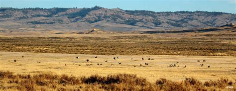 Thunder Basin National Grassland