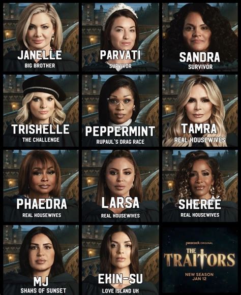 Traitors Season 2 US Cast : r/realhousewives