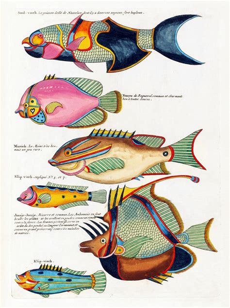 Fish Art Vintage Indonesia Free Stock Photo - Public Domain Pictures