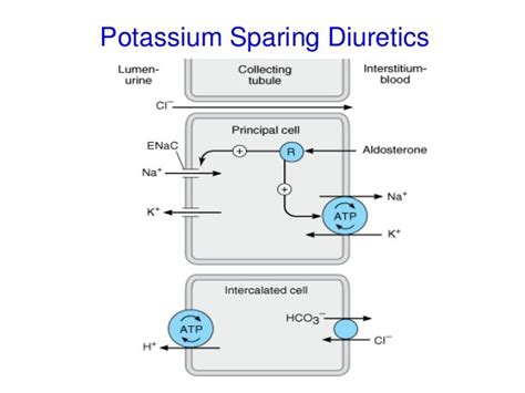 Potassium-sparing Diuretics - Mind Map