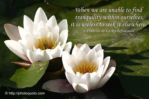 Peace And Tranquility Quotes. QuotesGram