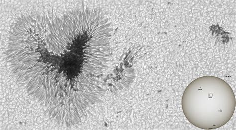 sunspot - Sky & Telescope - Sky & Telescope