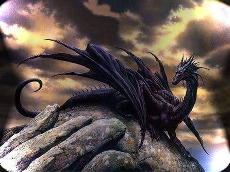 Black Dragon Wallpapers - Wallpaper Cave