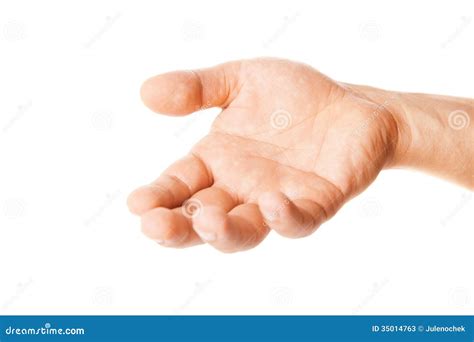 Open Palm Hand Gesture of Male Isolated on White Stock Image - Image of concept, business: 35014763