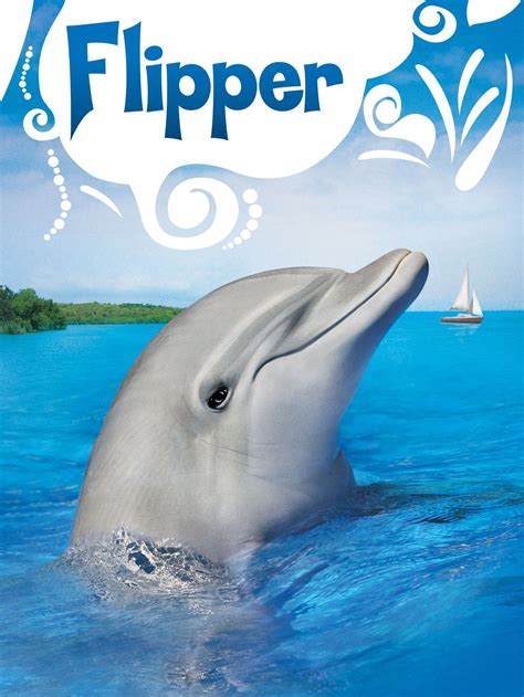 Flipper TV Show: News, Videos, Full Episodes and More | TV Guide