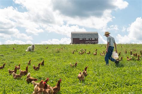 Livestock Management - Rodale Institute