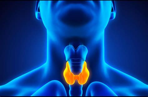 Thyroid Gland Disorders Treatment Market to Cross USD 2.6