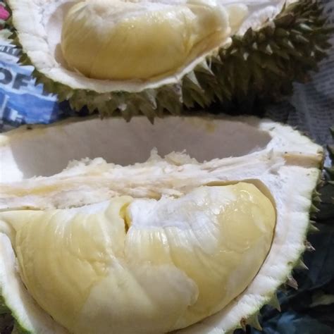 Fresh Davao Durian Fruit – Farm2Metro