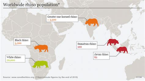 Where do Black Rhino Live -Black Rhinoceros Habitat - Rhino Rest