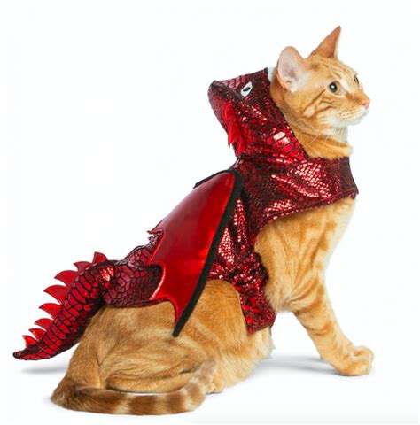 35 Cat Halloween Costumes — Funny Halloween Costumes for Cats - Parade Pets