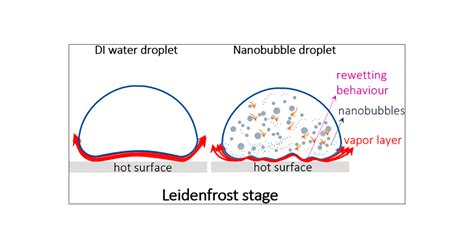 Augmenting the Leidenfrost Temperature of Droplets via Nanobubble ...