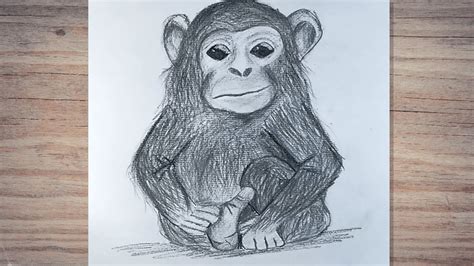 Realistic Monkey Drawing