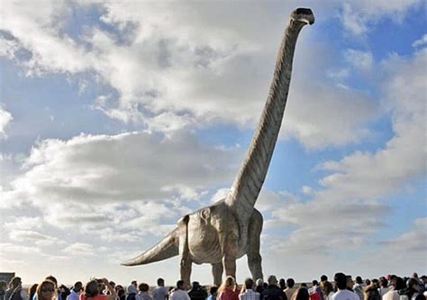 Scientists finally give the biggest dinosaur that ever lived a name