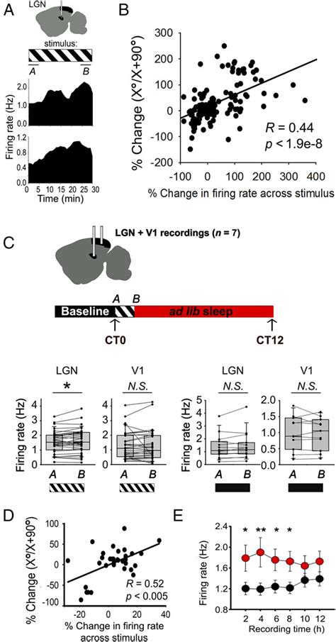 Stimulus-induced firing enhancement in LGN neurons predicts response ...