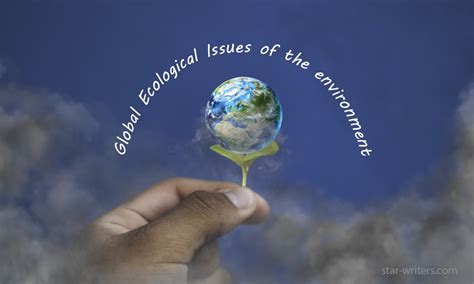 Global Ecological Issues in Environmental Essay