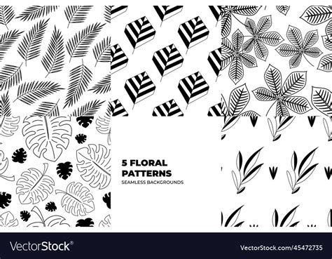 Botanical background set Royalty Free Vector Image