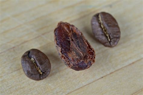 Liberica Coffee: The Rarest Type of Coffee