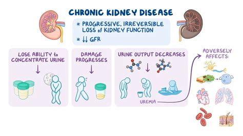 Chronic kidney disease (CKD): Nursing - Osmosis Video Library