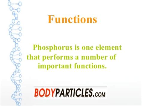 Phosphorus in the Human Body