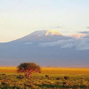 Sunrise, Mount Kilimanjaro, Amboseli National Park, Kenya #1175621